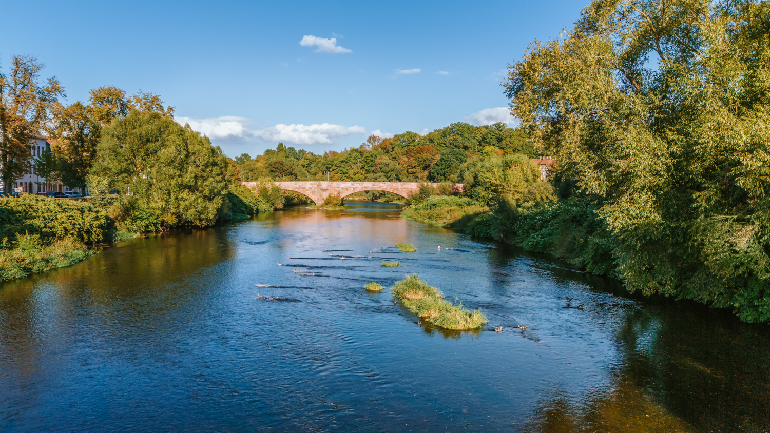Blick auf die Zwickauer Mulde mit ruhigem Wasser und einer historischen Steinbrücke (Muldenbrücke) im Hintergrund. Dichte Bäume säumen beide Ufer, darüber ein blauer Himmel mit wenigen Wolken